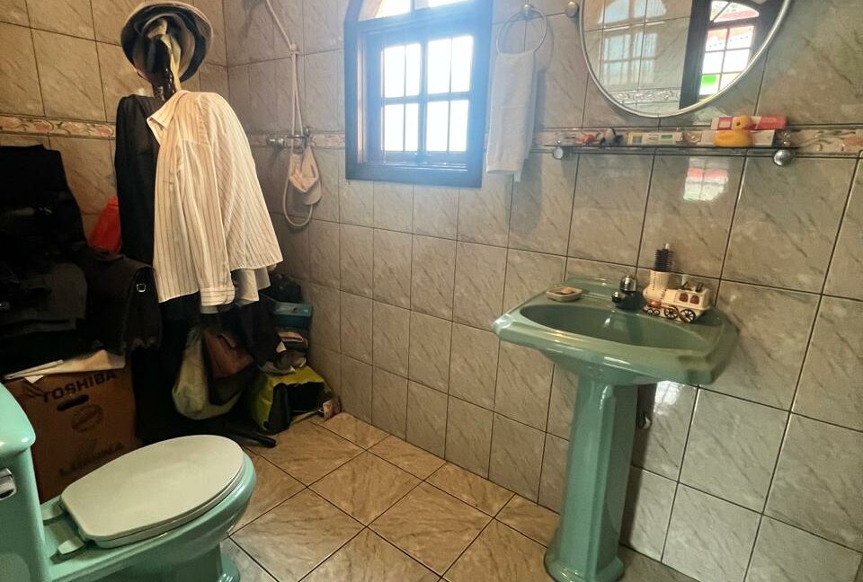 9dc21195-c4e7-46f8-a628-557e3416cf7c